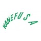 Kanefusa